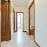 Patty Flat - 15 Min From Venice & Free Parking *