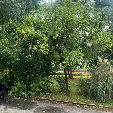 Daire Patty Flat - 15 Min From Venice & Free Parking *