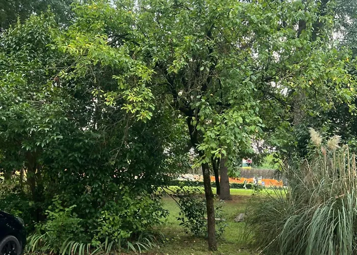 Apartment Patty Flat - 15 Min From Venice & Free Parking *